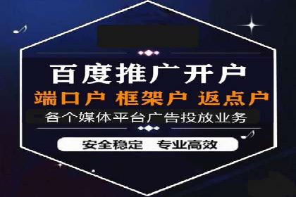 SEM推广策略：成功案例解析